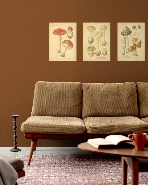 Flax Art Poster | Encyclopedia Mushroom B | FWP-AP-EN5B